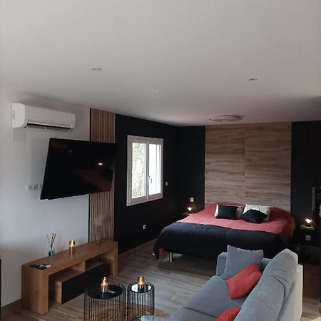 Loft Sauna Jacuzzi Ospariegeois Lavelanet Extérieur photo