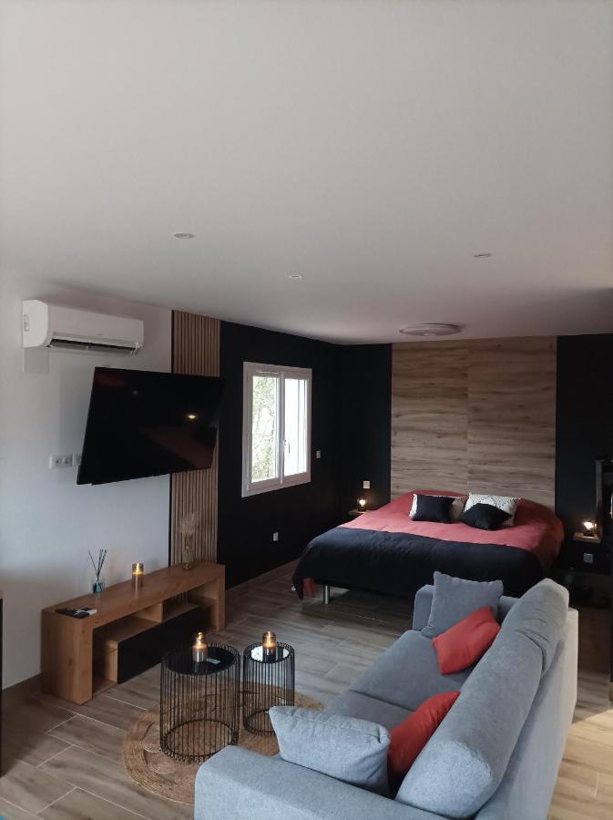 Loft Sauna Jacuzzi Ospariegeois Lavelanet Extérieur photo